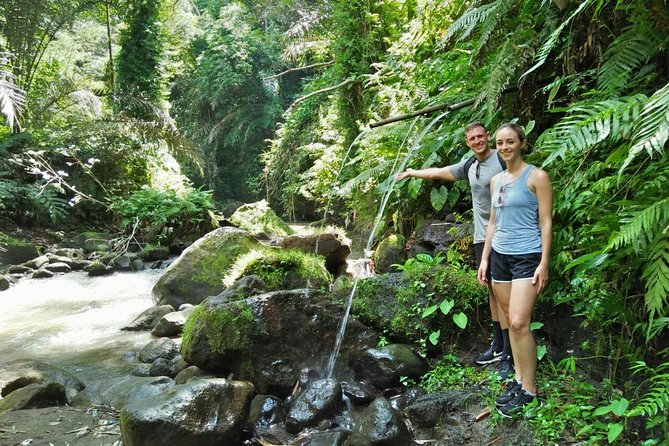 Ubud Eco Culture Cycling Exploration - Abangan paddy fields and young coconut, the cooling break you need