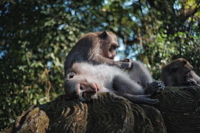 Ubud Excursion: Barong Dance, Art Villages, Nature, Temple and Waterfall - Tegenungan Waterfall: photos at the steps, then time to reset