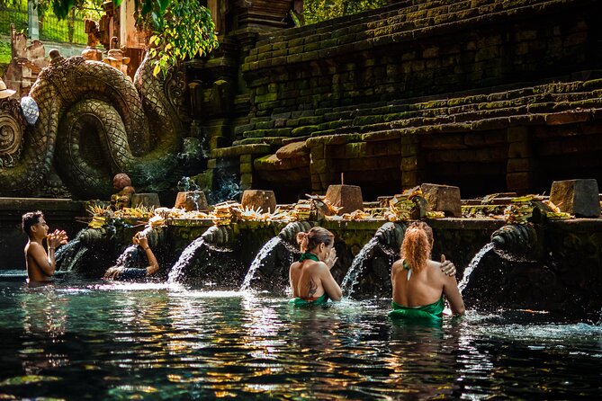 Ubud Experience | Full Day Private Tour in Ubud | FREE WIFI - A Full-Day Ubud Mix, Not a Rushed Hopscotch