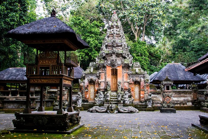 Ubud Experience | Full Day Private Tour in Ubud | FREE WIFI - Real Bali Swing: When You Want Fun, Not Just Views