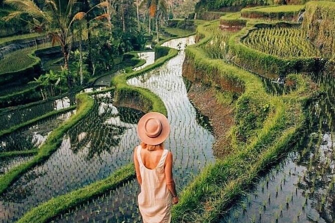 Ubud Explorer Private Day Tour - Wood Carving and Batik with Local Masters in Ubud