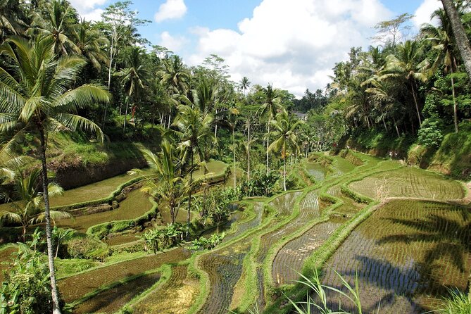 Ubud Explorer Private Day Tour - Tegenungan Waterfall: Photo Time Meets Real Walking