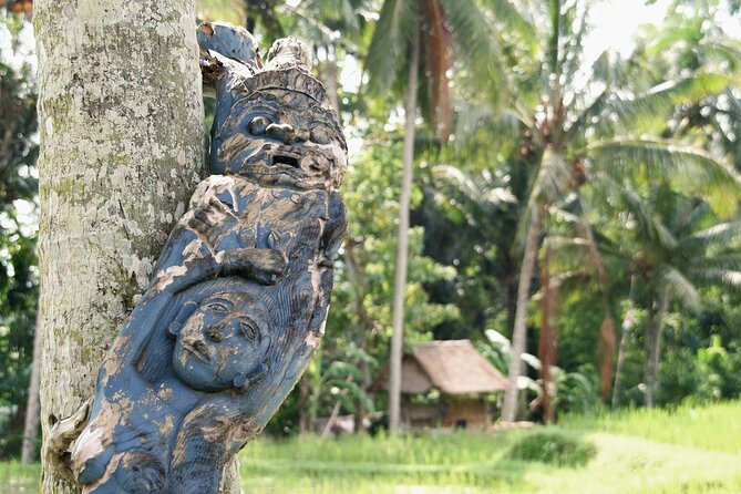 Ubud Explorer Private Day Tour - Price, Inclusions, and Why This Can Be Good Value