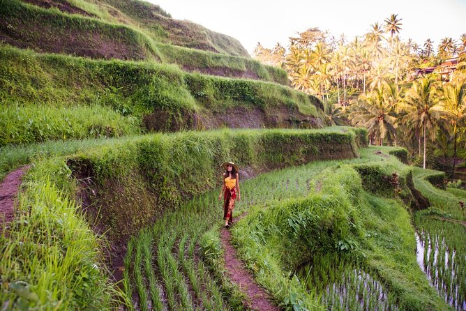 Ubud Full Day ATV Adventure with Rice Terrace and Temple Ritual - The guide factor matters more than you think