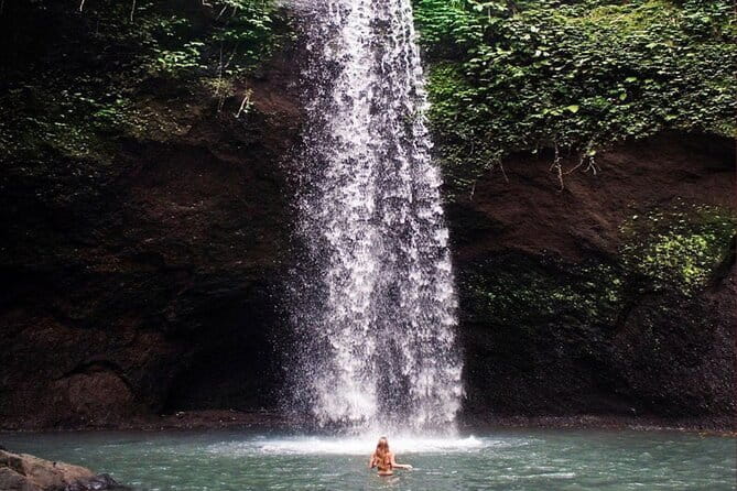 Ubud Full Day - Monkey Forest, Rice Terrace and Waterfalls Tour - Tegalalang Rice Terraces: Classic Ubud Views With Guide Help