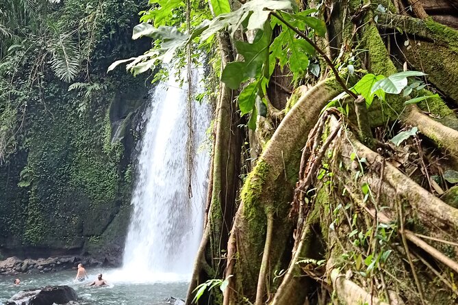 Ubud Half Day Zipline and Jungle Swing - Ubud and rice terraces: irrigation lessons plus photo pauses