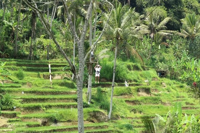 Ubud Half Day Zipline and Jungle Swing - What to bring, wear, and plan for in Ubud heat
