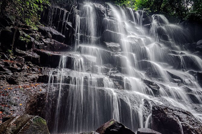 Ubud Hidden Gems Waterfalls and Private tour - The Real Star: Your English-Speaking Guide and Their Photo Help