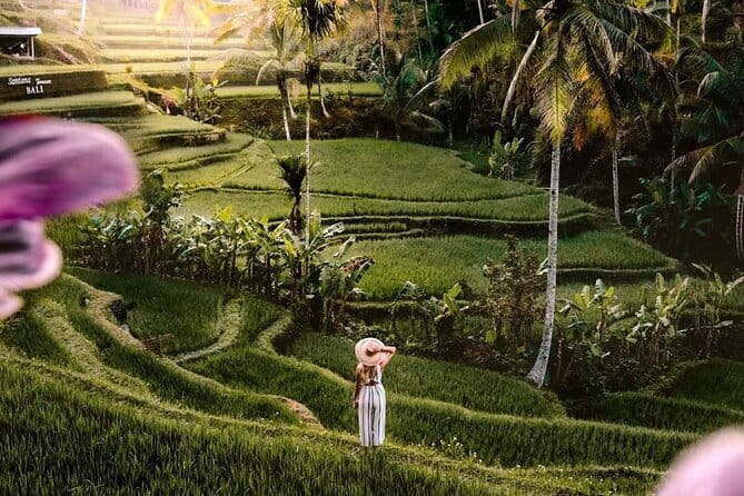 Ubud Highlights -Private Tour,Temples, Waterfalls & Rice terraces - Key Highlights You Should Actually Care About