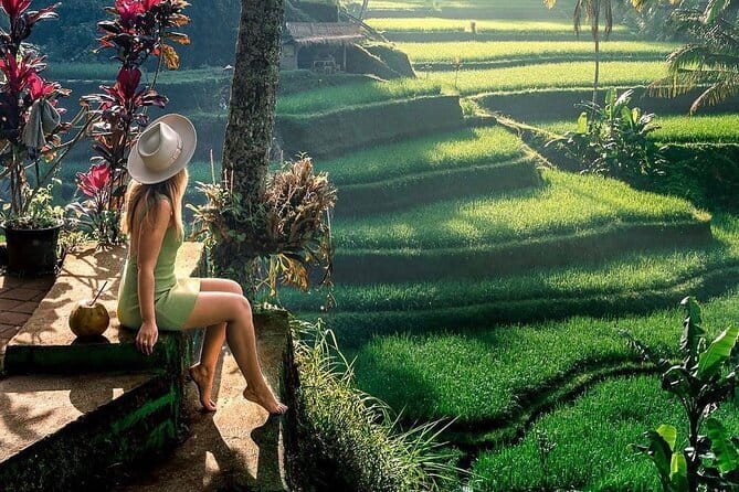 Ubud Highlights -Private Tour,Temples, Waterfalls & Rice terraces - A Full Ubud Day, Without the Random Guesswork