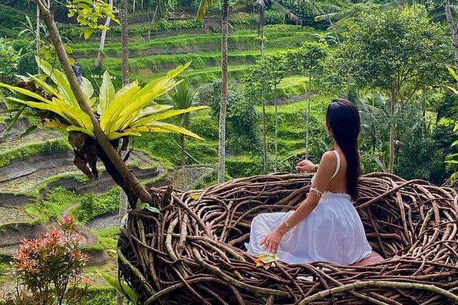 Ubud Highlights -Private Tour,Temples, Waterfalls & Rice terraces - Pickup From Seminyak to Ubud: The Comfort Factor