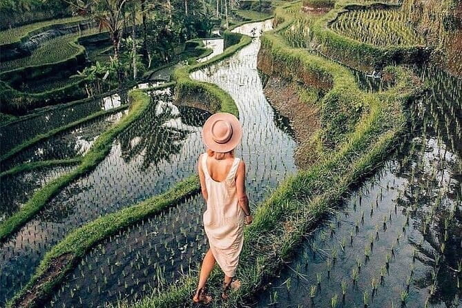 Ubud Highlights -Private Tour,Temples, Waterfalls & Rice terraces - Price and Logistics: What You Get for $33