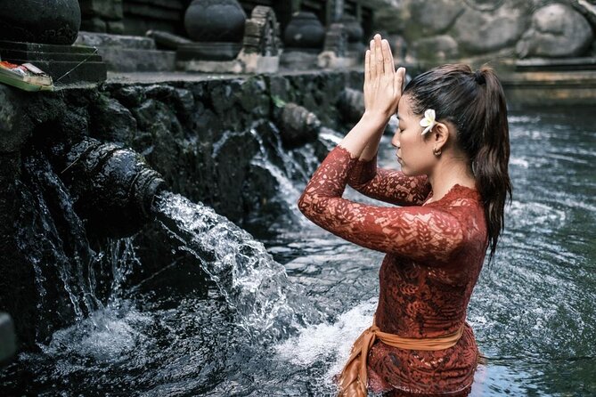 Ubud Highlights Rice Terraces, Temple, Waterfall & Monkeys forest - How this private Ubud highlights day works in real life