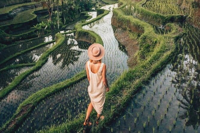 Ubud Highlights Shared Tour – Small Group Full-Day Experience - Tegalalang Rice Terrace: walking Bali’s classic irrigation view