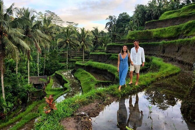 Ubud Highlights Tour ( Private All-Inclusive ) - Monkey Forest and Puri Saren Palace in Central Ubud