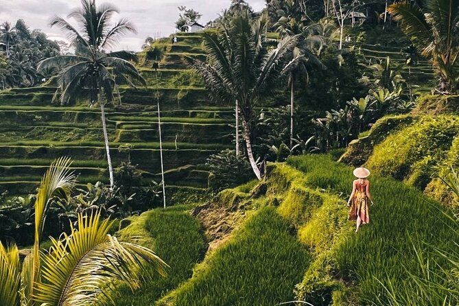 Ubud Higlights Full Day Tour - Private Tour Experience - Tirta Empul Temple: water purification that feels surprisingly personal
