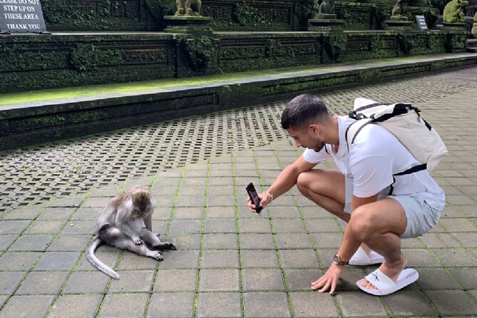 Ubud Higlights Full Day Tour - Private Tour Experience - Price breakdown and what you actually get for $24.30