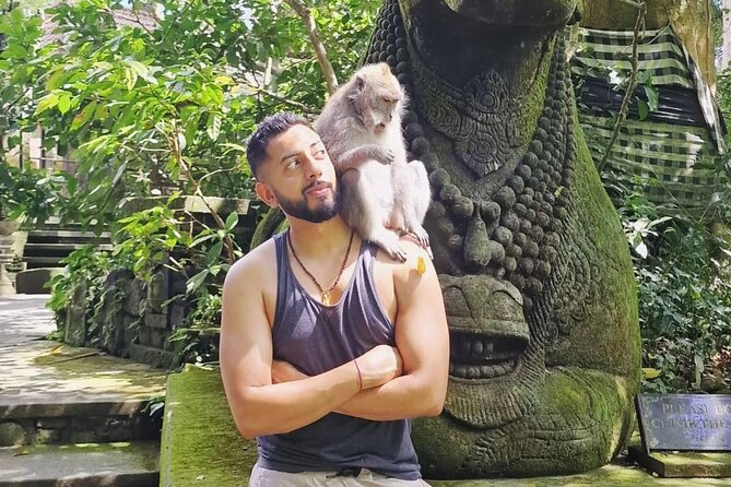 Ubud Higlights Full Day Tour - Private Tour Experience - Sacred Monkey Forest Sanctuary: fun, fast, and yes, the monkeys are real