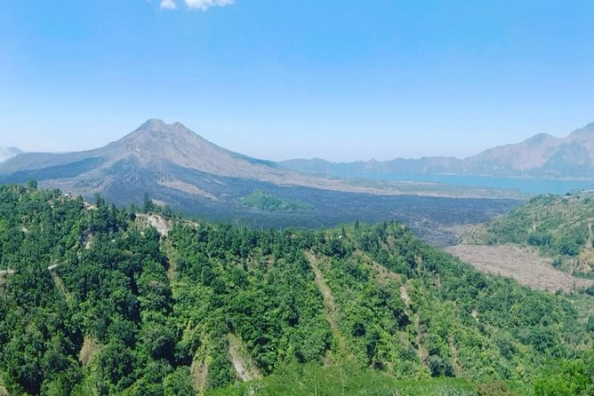 Ubud Hot Springs and Waterfall Private Guided Tour - Tampaksiring and the coffee plantation: a scenic pause that can be worth it