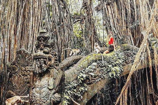 Ubud iconic waterfall and temple tours - Timing and pace: making the day feel manageable