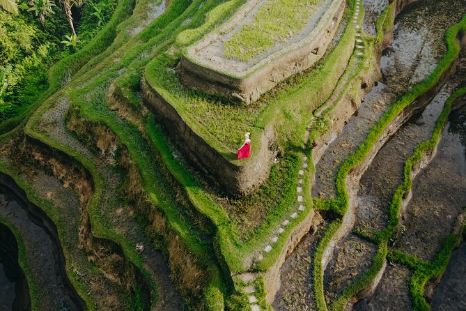 UBUD Instagram Spot Tour with Photographer - Stop 2: Kumulilir coffee and tea tasting in the jungle view