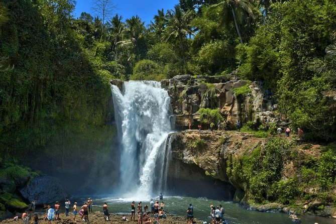 Ubud Instagram: Waterfall Tours - Pickup and morning drive: how your ride turns into part of the tour