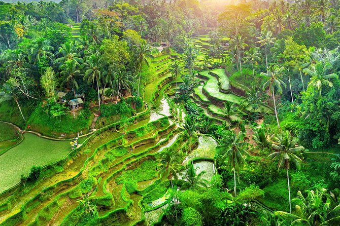 Ubud Jungle Adventure: Tirta Empul & Bali Swing - Key highlights worth your attention