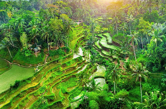 Ubud Jungle Adventure: Tirta Empul & Bali Swing - Private transport and included entrances, where the value actually shows
