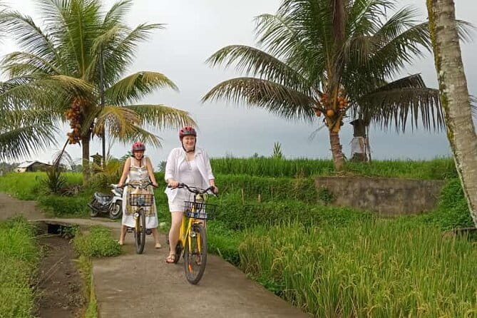 Ubud : Kintamani Downhill Cycling Tour with Lunch - The 6-Hour Schedule and How the Ride Fits Your Day
