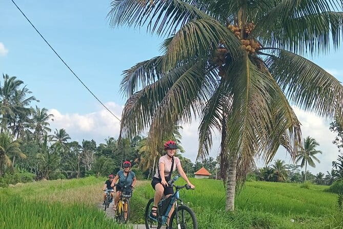 Ubud : Kintamani Downhill Cycling Tour with Lunch - Stop 1, Bayung Gede: Where the Guide Sets You Up