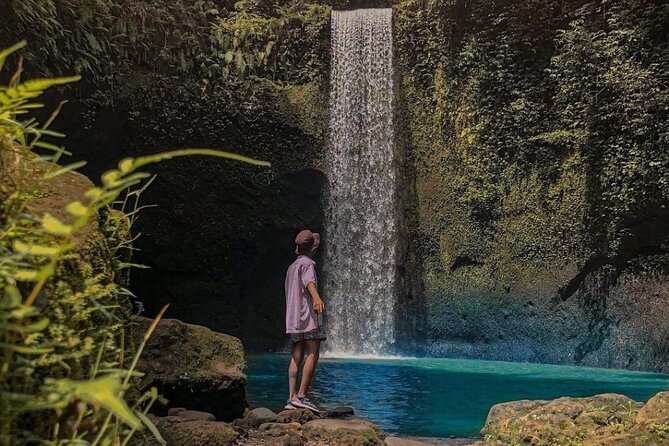 Ubud Monkey Forest, Holy Water Temple & Waterfalls Tours - Stop 1: Sacred Monkey Forest Sanctuary at 9:00