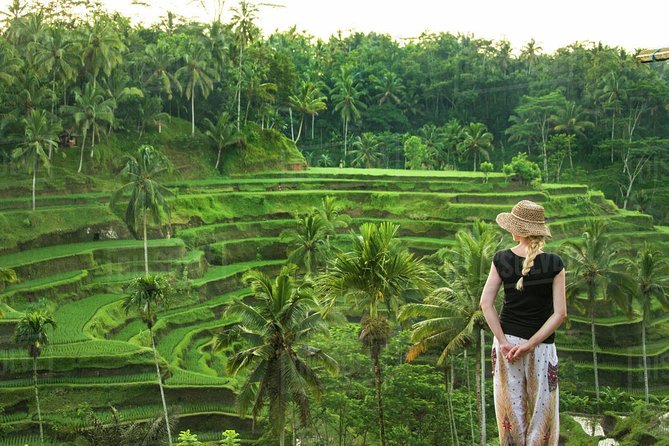 Ubud: Monkey Forest, Jungle Swing, Rice Terrace, and Water Temple - Timing tip: why starting early can save your day