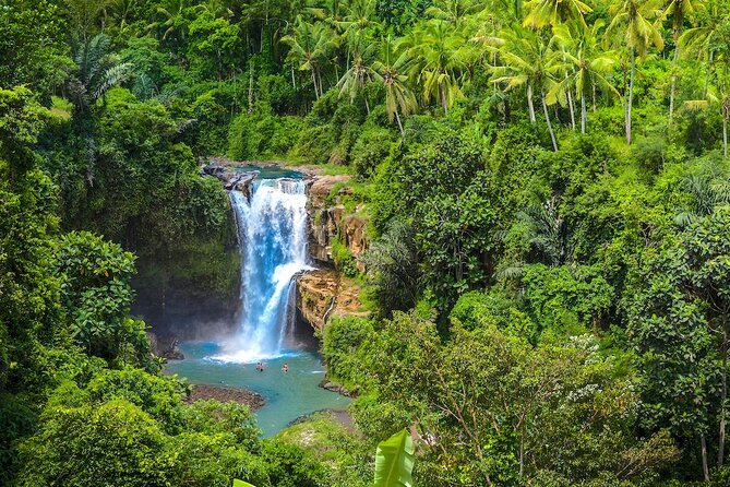 Ubud: Monkey Forest, Jungle Swing, Rice Terrace, and Water Temple - Happy Swing Bali: the thrill stop that drives the schedule