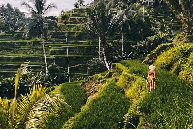 Ubud Monkey Forest, Rice Terrace & Tirta Empul Temple Tour - Key Highlights You Will Care About