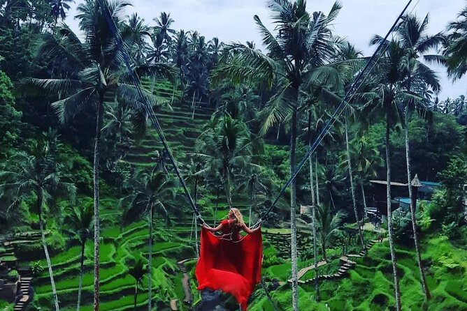 Ubud : Monkey Forest, Rice Terrace, Waterfall, Swing - Pickup, Air-Conditioned Comfort, and the Real Meaning of “Private”