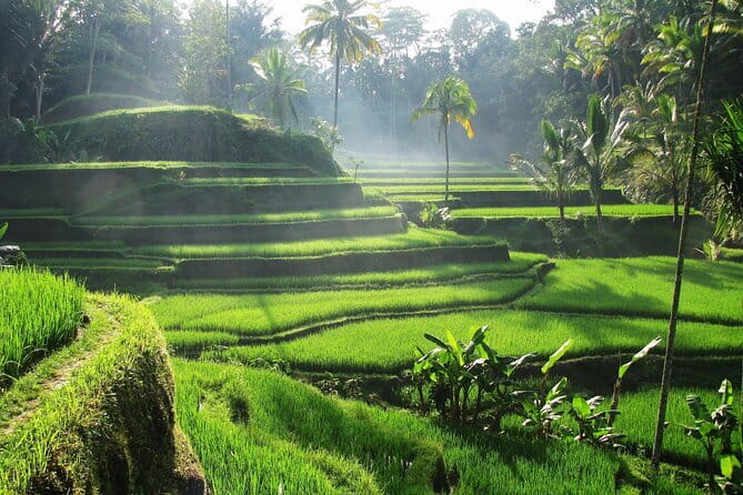 Ubud: Monkey Forest, Rice Terraces and Jungle Swing Tour - Ubud handicrafts stop: silver, wood carving, painting, and batik