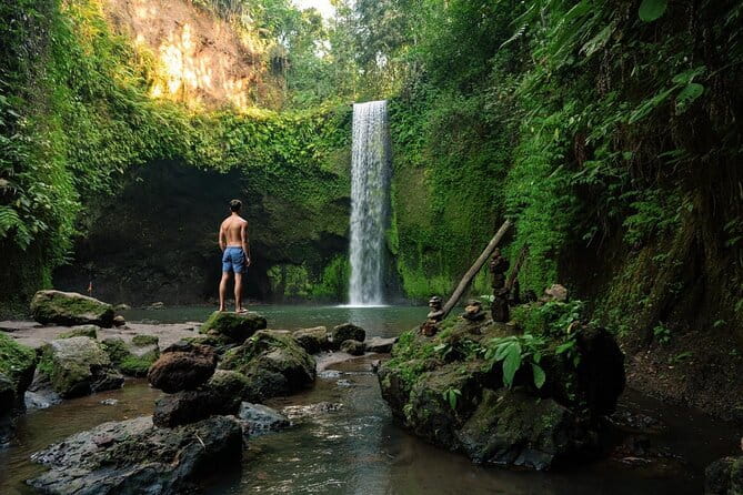 Ubud: Monkey Forest, Rice Terraces and Jungle Swing Tour - Driver, pickup zones, and how this 8 to 10 hour plan feels in real life