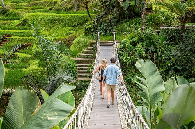 Ubud: Monkey Forest, Rice Terraces & Sacred Temples - From 9:30 AM Pickup to a Full Day of Temples