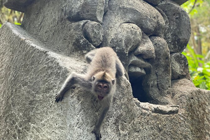 Ubud Monkey Forest Sanctuary Entrance Ticket All Inclusive - Door-to-Door Pickup: Great Convenience, Watch the Timing