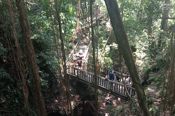 Ubud Monkey Forest Sanctuary Entrance Ticket All Inclusive - Monkey Time: How to Enjoy It Without Stress