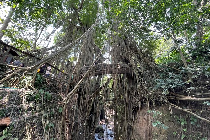 Ubud Monkey Forest Sanctuary Entrance Ticket All Inclusive - How Much Time Should You Plan in Ubud?