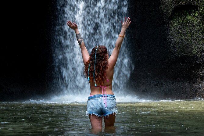 Ubud Monkey Forest, Scenic Rice Terrace with Swing and Waterfall - Key highlights you will care about