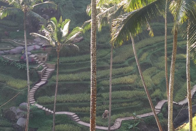 Ubud Private & Customize Day Tour - Monkey Forest Ubud, sacred spaces, and seeing macaques up close