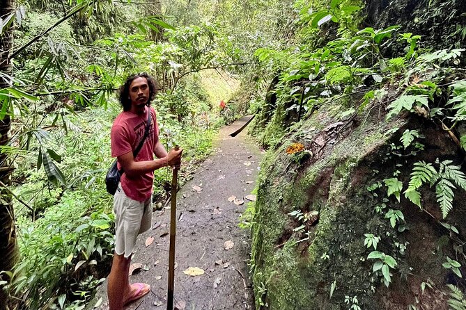 Ubud: Private Customized Highlights Tour - Your temple and purification track: Tirta Empul, Gunung Kawi Sebatu, and more
