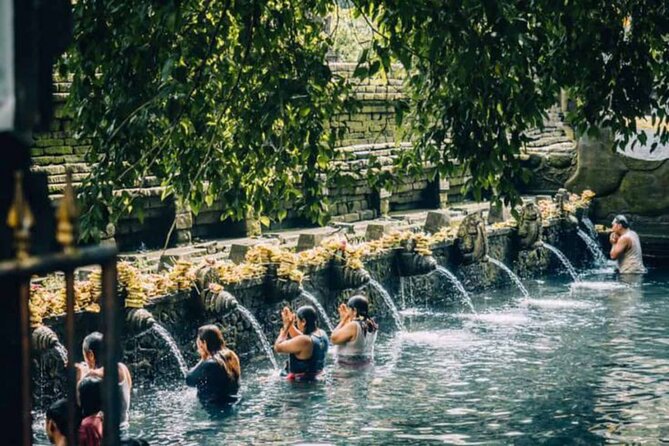 Ubud: Private Customized Highlights Tour - Rice views and ridge walks: Tegalalang and Campuhan without the stress