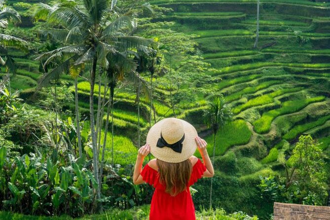 Ubud: Private Customized Highlights Tour - How the schedule works, with real time limits you can plan around