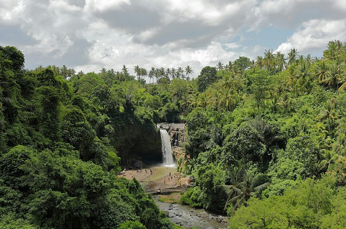 Ubud Private Nature and Temple Tour - The Real Win: Route Planning, Comfort, and Backup Plans
