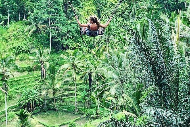 Ubud Private Tour - Sacred Monkey Forest Sanctuary: Monkeys, Temples, and Tri Hita Karana Vibes