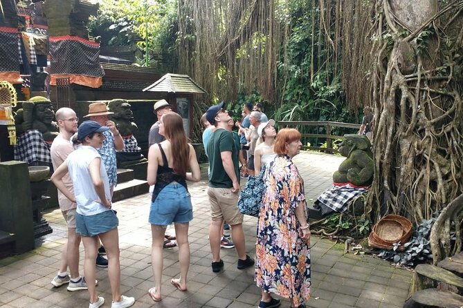 Ubud Private Tour - Kumulilir Coffee Plantation and Jungle Lust Swings: Fun, Views, and Easy Pace