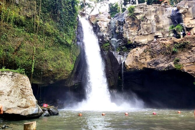 Ubud Private Tour : Best Of Ubud - Guided Tour - Stop 2: Sacred Monkey Forest Sanctuary and Why It Matters Locally